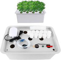 Mini kit de jardin hydroponique pour la maison, système de culture de légumes et de fleurs pour balcon, boîte à semis à 11 trous, jardinières sans terre, auto-arrosantes
