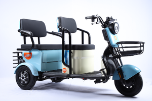 Tricycle motorisé, vélo cargo électrique, scooter électrique à trois <span class=keywords><strong>roues</strong></span>, vélo électrique, tricycle électrique pour passagers - Product Image 5