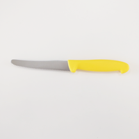 Couteau à steak HACCP en acier inoxydable de 11 cm, à lame ajourée dentelée, avec manche PP ambidextre, pour la restauration commerciale et la cuisine