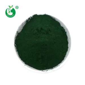 Wholesale Price USDA Certificated Bulk Organic Natural Chlorella Broken Cell Chlorella Powder