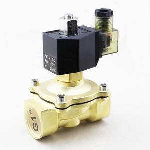 2WK /2WT Serie 1/2 3/4 1 1-1/4 1-1/2 2 Inch 12V 24V 220V Normaal Open Diafragma Water Solenoïde Waterdichte Elektrische Klep Messing - Product Image 4