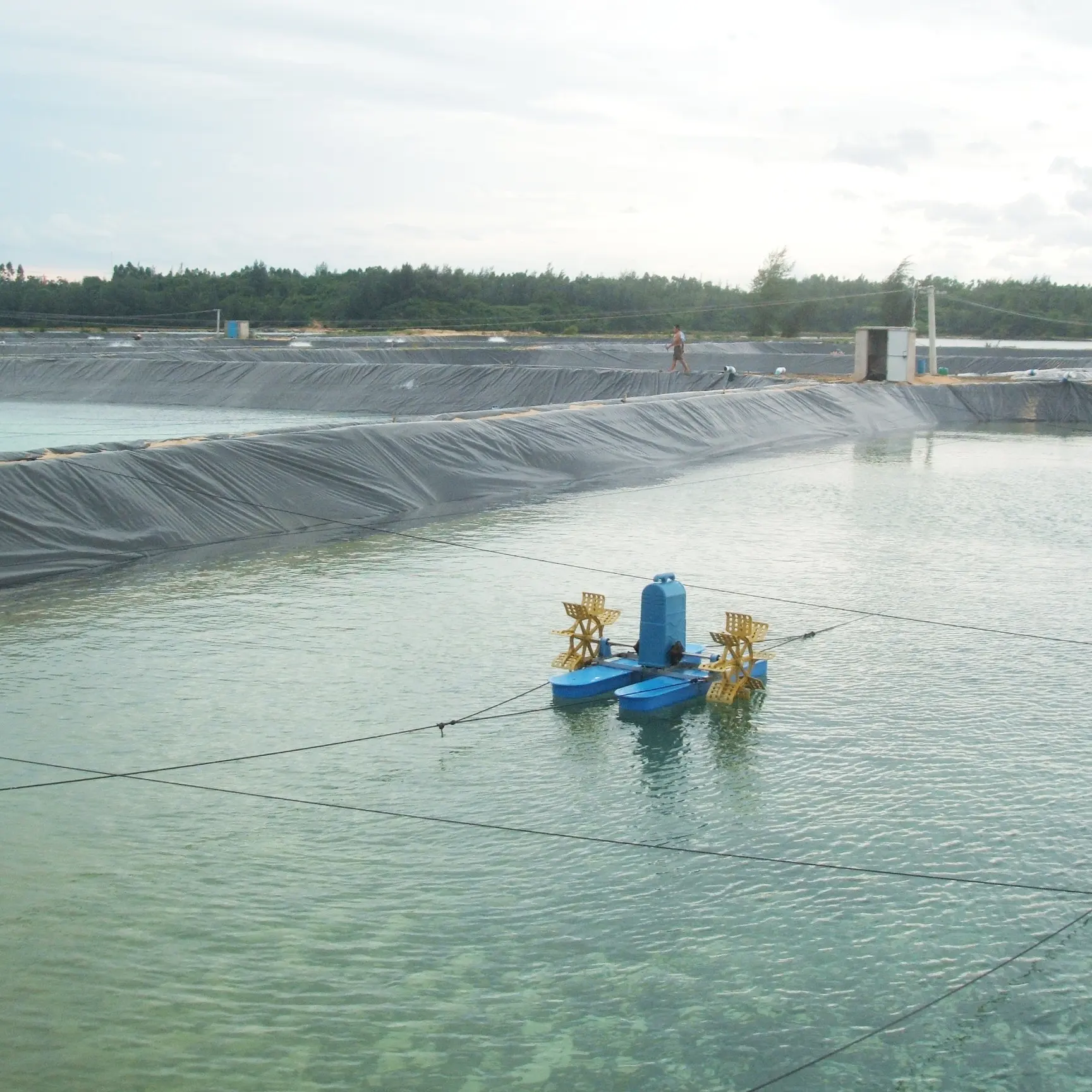 Geomembrana Hdpe 1mm Geomenbrana per fodera per laghetto