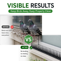 Piques anti-oiseaux en PP massif résistant aux UV, dissuasif pour pigeons, contrôle anti-gencive, pour façades, toitures et clôtures, lutte antiparasitaire