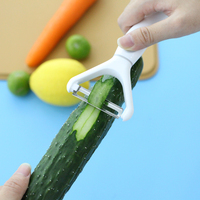 Multi-schil- en raspschaafset voor fruit, groenten en aardappelen, roestvrij staal, multifunctioneel keukengereedschap