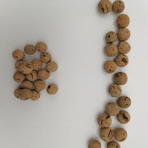 Sfere Boilie da 1-10mm all'Ingrosso per Pesca alla Carpa, Sughero per Esche Galleggianti, Pop-up Economici, Tappi per Bottiglie - Product Image 1