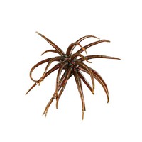 WildTrek Leurre Souple en Caoutchouc Épineux de Mer Flottant 70mm 1.6g Leurre de Surface à Flocons Réfléchissants 6 Couleurs pour Pêche au Bar en Eau Douce et en Rivière