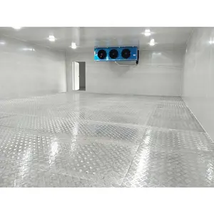 Large Sala Fria Walk In Freezer For Meat Poisson Chambre Froide