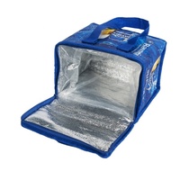 Sac glacière anti-fuite pour bière, pour glace, PP tissé