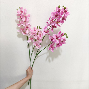 Orchidées Cymbidium en latex à toucher réel, faites à la main, à longue tige, fleurs artificielles, décoration pour la fête des mères, Halloween, Nouvel An, vente chaude - Product Image 5