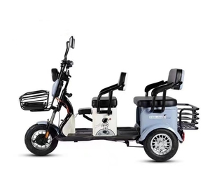 Triciclo Eléctrico Económico de Gran Potencia (800 W) con Carrocería Abierta y 3 Ruedas para Movilidad de Personas Mayores en Oferta - Product Image 5