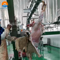 Certification Halal, abattoir à haute productivité pour chèvres et moutons, équipement de transformation de la viande halal pour abattoir de moutons