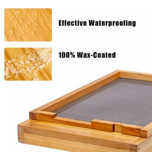 Ruches complètes à 10 cadres avec fond grillagé - Product Image 2