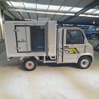 Camionnette frigorifique électrique légère à quatre roues pour livraison, petite boîte de chargement, à vendre