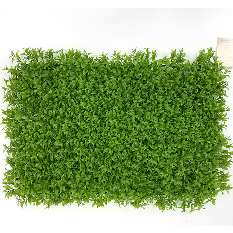 Herbe porte-bonheur