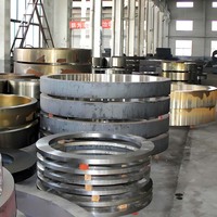 Anneaux de roulement forgés SAE8620 en acier sans soudure, alliage de titane, fer forgé, pour le forage pétrolier, roulements pour machines minières