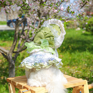 Vestido de Verano para Perro con Estampado de Flores y Cuadros, Falda de Moda para Mascotas, Ropa para Mascotas - Product Image 4