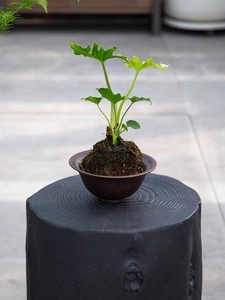 Linghong rétro vent Wabby silencieux magnésium boue côté bois souches souches d'arbre Pier Table à thé tabouret Table de chevet fleur poufs - Product Image 3