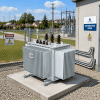Transformateur de puissance immergé dans l'huile S11-M, 11 kV/0,4 kV, 30~2500 kVA, faible bruit, réservoir ondulé, enroulement en cuivre, utilisation en poste de transformation