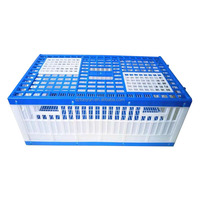 TUOYUN cage d'élevage de transport de pigeons de haute qualité, prix bas, vente en gros