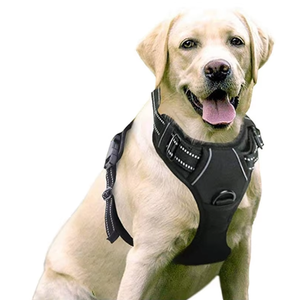 Vente en gros de <span class=keywords><strong>harnais</strong></span> souple pour <span class=keywords><strong>chien</strong></span>, <span class=keywords><strong>meilleur</strong></span> vendeur, gilet de sécurité durable et haut de gamme, <span class=keywords><strong>harnais</strong></span> souple réfléchissant réglable pour <span class=keywords><strong>chien</strong></span> - Product Image 2
