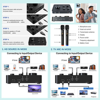 Micrófono Inalámbrico UHF para Karaoke Echo Plastic, Sonido Cristalino de 16 Canales, Alcance de 100 pies, Micrófono Inalámbrico Profesional de 2 Canales para el Hogar