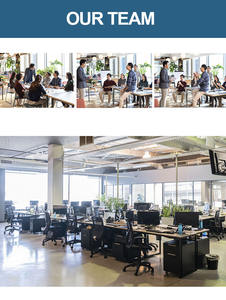 גואנגדונג שנז 'ן מקצועי בינלאומי ובינלאומי דלת לסוכן משלוח סוכן סין ליטואניה חברות לוגיסטיות - Product Image 3