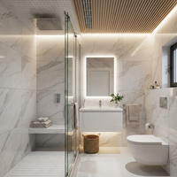 Salle de bain et toilettes préfabriquées de luxe détachables en conteneur de 20 pieds, isolation acoustique, séparation humide/sec, design moderne, garantie 5 ans