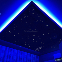 Kit d'éclairage intérieur pour plafond de voiture, ciel étoilé, 2500 fibres optiques, 32W, avec câble musical scintillant