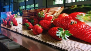 P2.6 Outdoor Rental LED <b>Display</b> <b>Wall</b> 500*1000mm Cabinet LED Screen for Stage, Subway and Self-Service Applications - Product Image 6