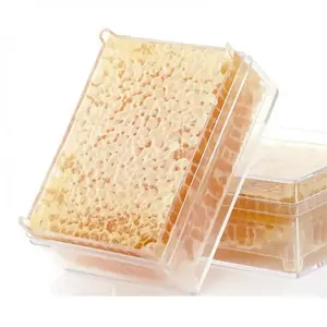Hot Sale Beekeeping Tools 250G 500G Transparent Honey Comb Box Honey Comb Cassette Without Wax Found