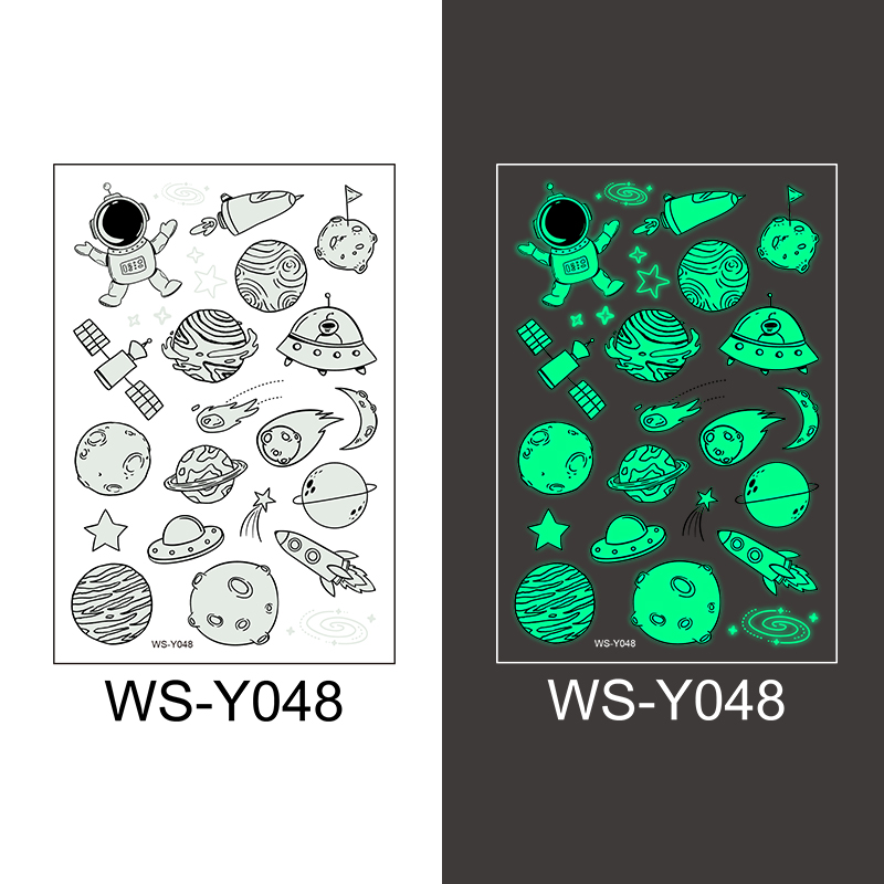 WS-Y048