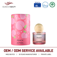 Diffuseur de parfum pour voiture 50 ml Pêche Pomme Fruité Longue Durée, Vente Chaude, Coffret Cadeau Mariage en Gros, Diffuseur à Bâtonnets Aromatiques
