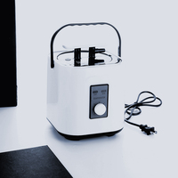 Portatile 2 litri portatile Sauna generatore di vapore per saune a vapore casa Spa macchina