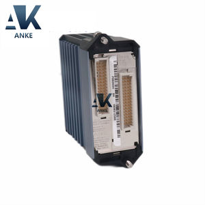 Foxboro FBM231 P0926GV โมดูลรวมระบบอุปกรณ์ภาคสนาม Invensys - Product Image 2