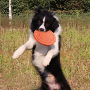 Jouet interactif pour chien en coton, disque volant, puzzle, plaque d'entraînement avec coussinets de disque souple, jouet pour chien - Product Image 3