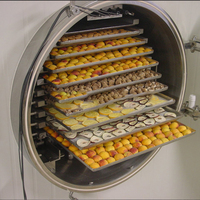 Machine de lyophilisation de machine de café de lyophilisation de fruits de 5 carrés 200 carrés