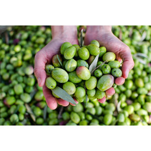 Olio d'Oliva Raffinato per Uso Cosmetico e Alimentare 220lt - Product Image 3
