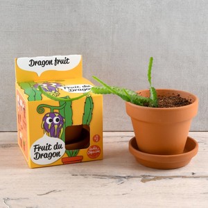 Diseño único Dragon Fruit Garden Sow Box Plant Kit Cerdas para el hogar Plantación para el uso del piso <span class=keywords><strong>de</strong></span> <span class=keywords><strong>invierno</strong></span> Incluye Macetas - Product Image 6