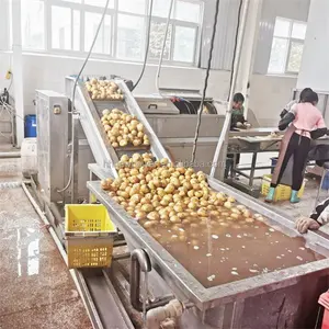 Machine à chips de pommes de terre entièrement automatique pour pommes de terre frites à petite échelle Prix de la ligne de fabrication de chips