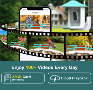 Mangeoire à oiseaux luxueuse et élégante avec caméra sans fil pour l'extérieur, cardénal, pinson, jais bleu, charbonnier, perroquet, <span class=keywords><strong>pigeon</strong></span> - Product Image 2