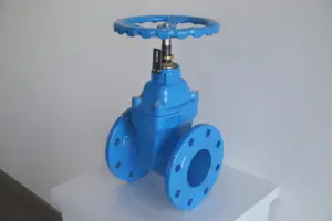 ANSI PN16 80mm 100mm 200mm Manual Cast Iron Flanged Type Gate Sluice Valve Position Indicating Needle Gate Valve