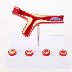 PVC kualitas tinggi model dokumenter pembuluh darah sains medis individual dan intrumen - Product Image 1