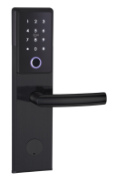 Serrure de porte intelligente en acier inoxydable 304 or, noir, argent, avec télécommande en option, déverrouillage par empreinte digitale pour porte en bois, stockage cloud