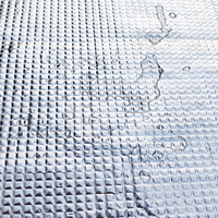 Isolation phonique pour portière de voiture, plaque anti-vibration en caoutchouc butyle, feuille d'aluminium, matériau polymère synthétique, épaisseur 2 mm, auto-adhésif pour voiture