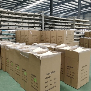 Đường viền cao su bọt Gối chỉnh hình ngủ gối - Product Image 6