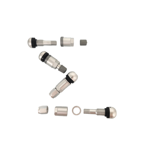 Tige de <span class=keywords><strong>valve</strong></span> TPMS industrielle robuste, composant pneumatique sans chambre à air très vendu pour la surveillance de la pression des pneus, approvisionnement en vrac - Product Image 6