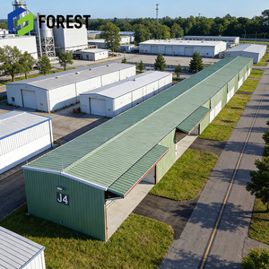 Hangar d'avion en structure acier au design moderne, ignifuge, pour la construction d'aéroports, prêt à être expédié - Product Image 1