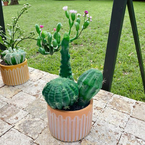 <span class=keywords><strong>Cactus</strong></span> en plastique artificiel avec pot en céramique pour la <span class=keywords><strong>d</strong></span>écoration extérieure de la maison Vente en gros en usine pour le jardin et les plantes artificielles et la verdure - Product Image 6