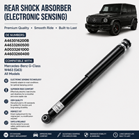 Conjunto de Amortiguador Resistente, Pieza de Suspensión para Mercedes Benz OE A463016200B A4633260500 A0033261000 A4603260400