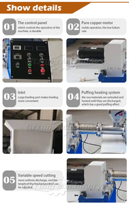 Máquina extrusora de arroz inflado a Gas o eléctrica, Mini máquina extrusora de maíz para alimentos con molde para restaurantes - Product Image 6